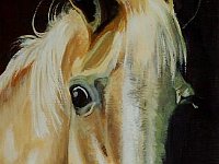Palomino in Stall 11x14